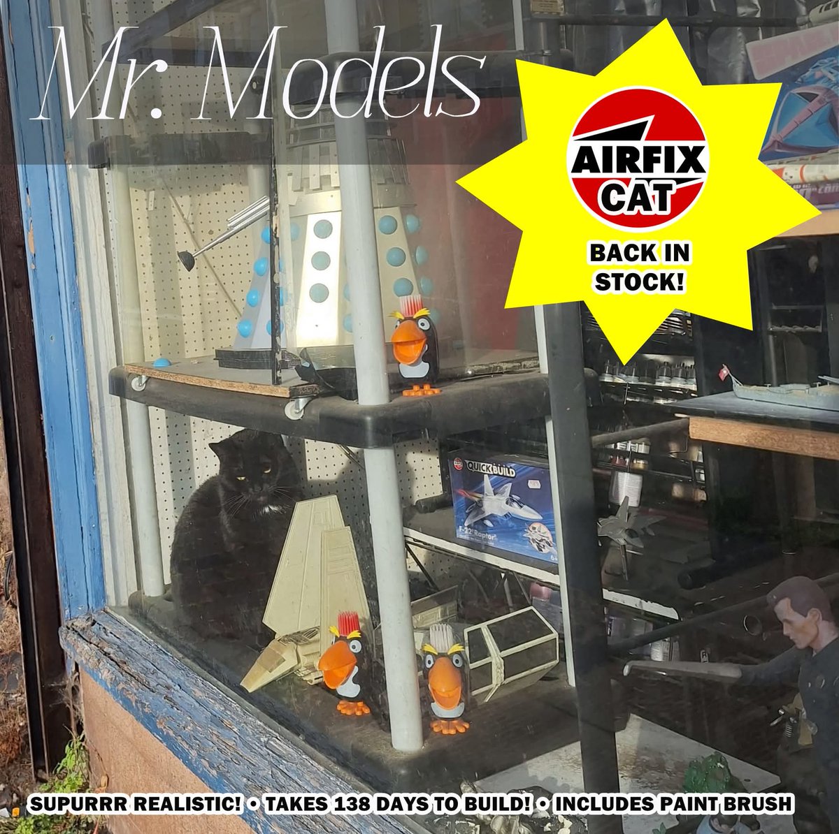 Community Announcement: Now wait, just a meowment! Airfix Cats are now back in stock at Mr Models' shop in Bearwood.  The highly sought-after, hyper-realistic model cats are sure to fly off the shelf and represent a must-have Christmas Purrrchase.
