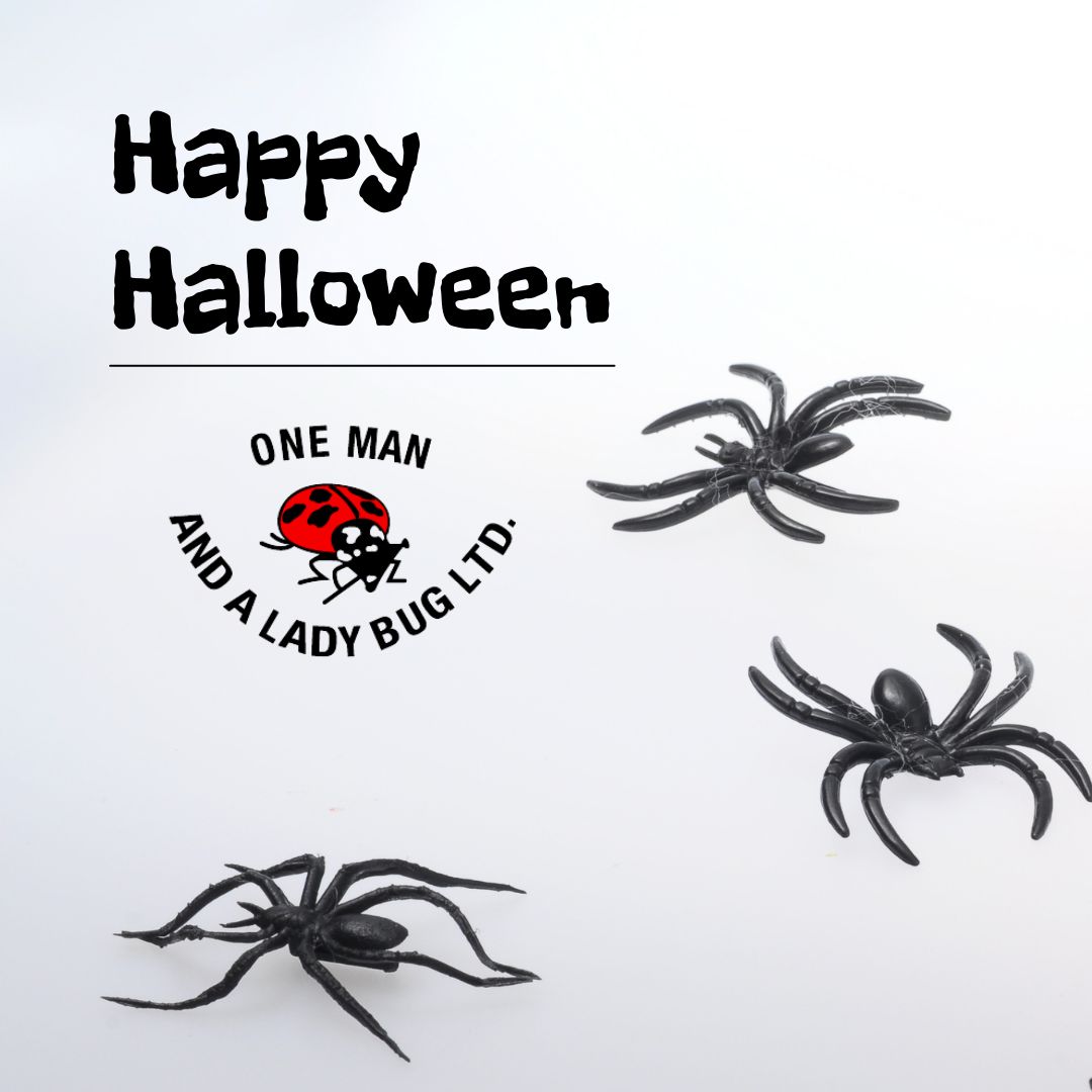 1ManAndALadybug's tweet image. The only creepy crawlers you should see this Halloween are the ones in costume. #HappyHalloween