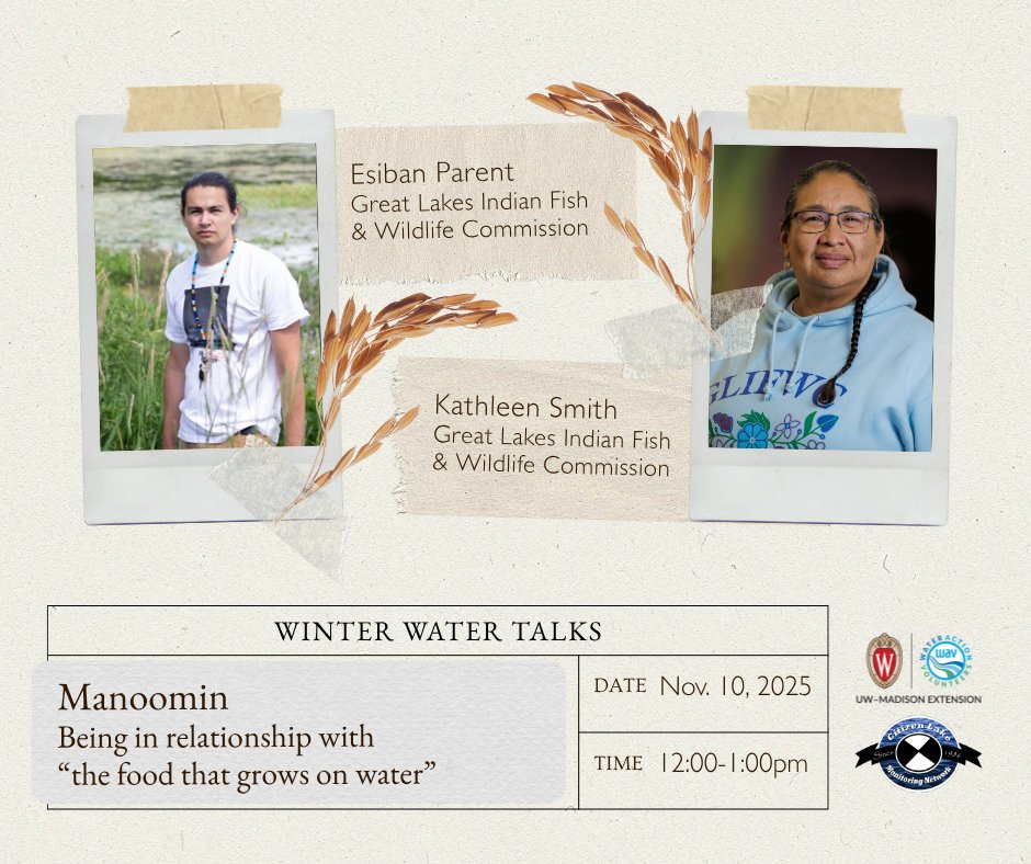 ❄️ Winter Water Talks kick off Nov. 10 at 12pm! Join WAV &amp; Citizen Lake Monitoring Network for a free Zoom webinar on manoomin (wild rice)—its biology, harvest &amp; cultural significance. 🌾 Featuring GLIFWC’s Kathleen Smith &amp; Esiban Parent.
Register here: go.wisc.edu/3pu3mt