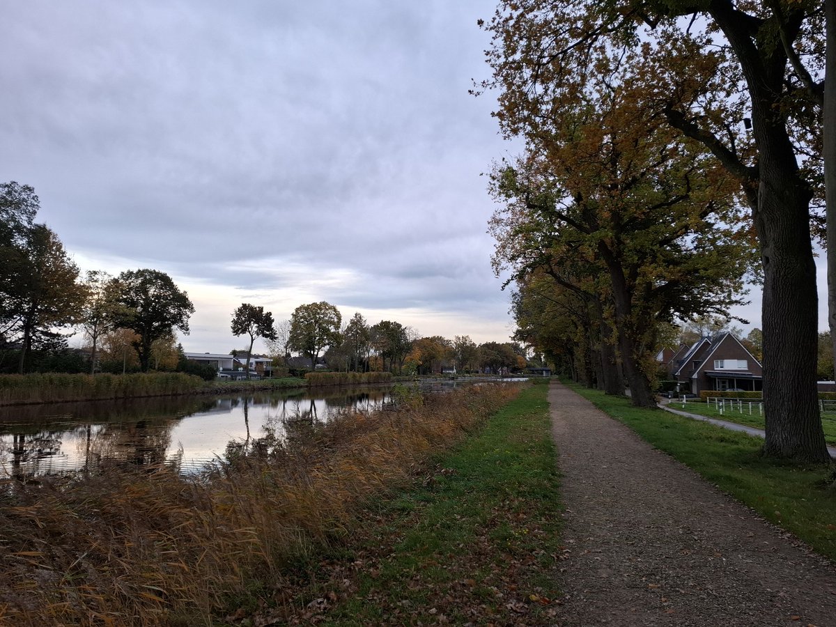 Amchanagi's tweet image. Von der #Partnerin durch die #Botanik gescheucht worden.