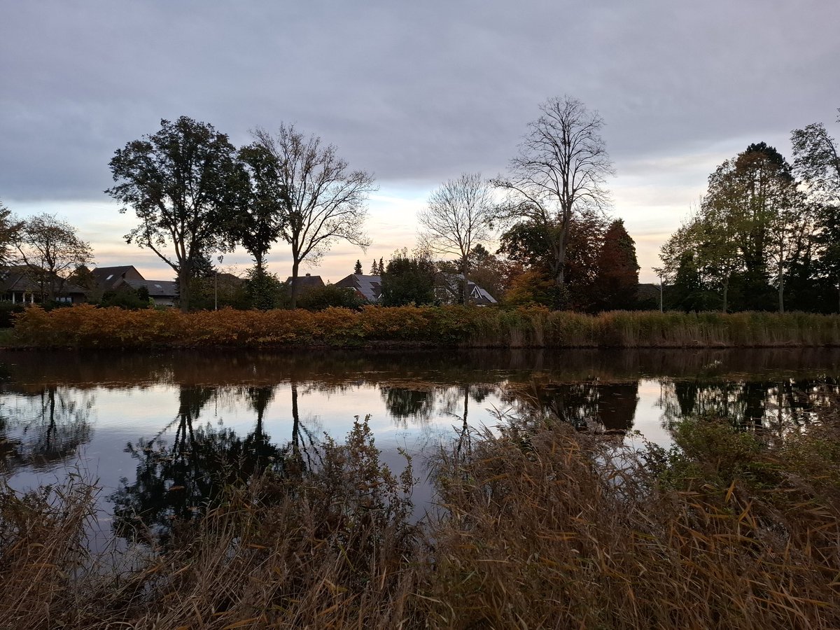 Amchanagi's tweet image. Von der #Partnerin durch die #Botanik gescheucht worden.