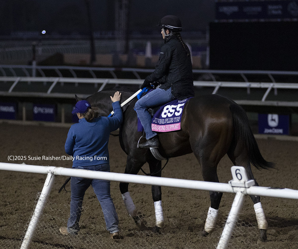 Ground Support (Juvenile Fillies Turf), will be trainer <a href="/kelseyjdanner/">KD</a>'s 2nd career <a href="/BreedersCup/">Breeders' Cup</a> starter. The first, Shards, outran his odds, something Ground Support is in the habit of. She paid $203.20 breaking her maiden at <a href="/KYDownsRacing/">Kentucky Downs</a> and $26.86 taking the G2 Miss Grillo.