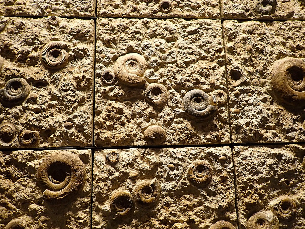 橋間仁ΦζΦ折紙魔人（Origami Mazin） on X