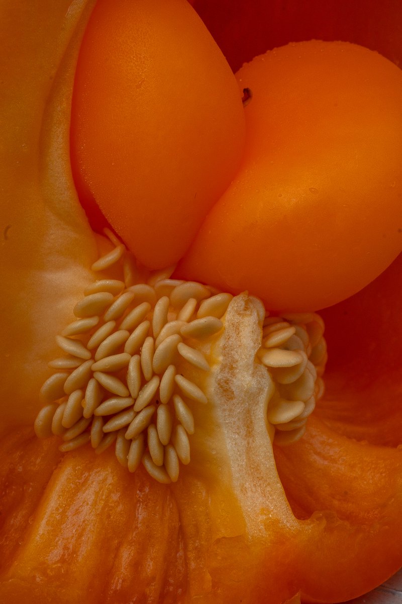 XmxHowes's tweet photo. Sometimes defects are beautiful! Check out my Macro Collection https://t.co/LdLL0JDX6Q
#vegetables #foodArt #art #macroPhotography #closeup #seeds #OrangePepper #colorful #vibrant #Wallartforsale #food #nature #homedecor #giftideas https://t.co/9qeqEBp89f