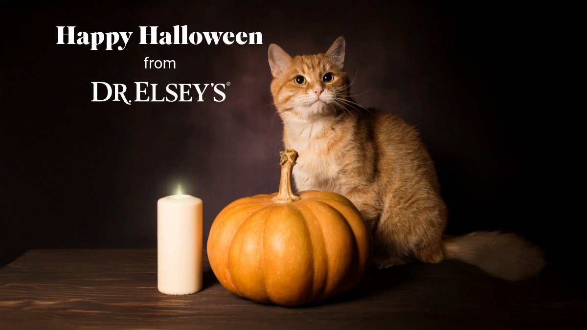 Dr. Elsey's tweet media