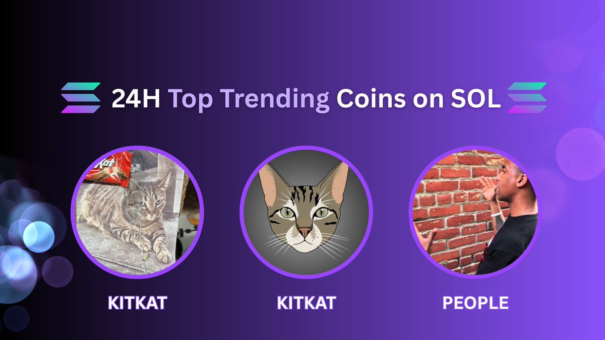 🚨SOL Gems Alert🚨 tweet media