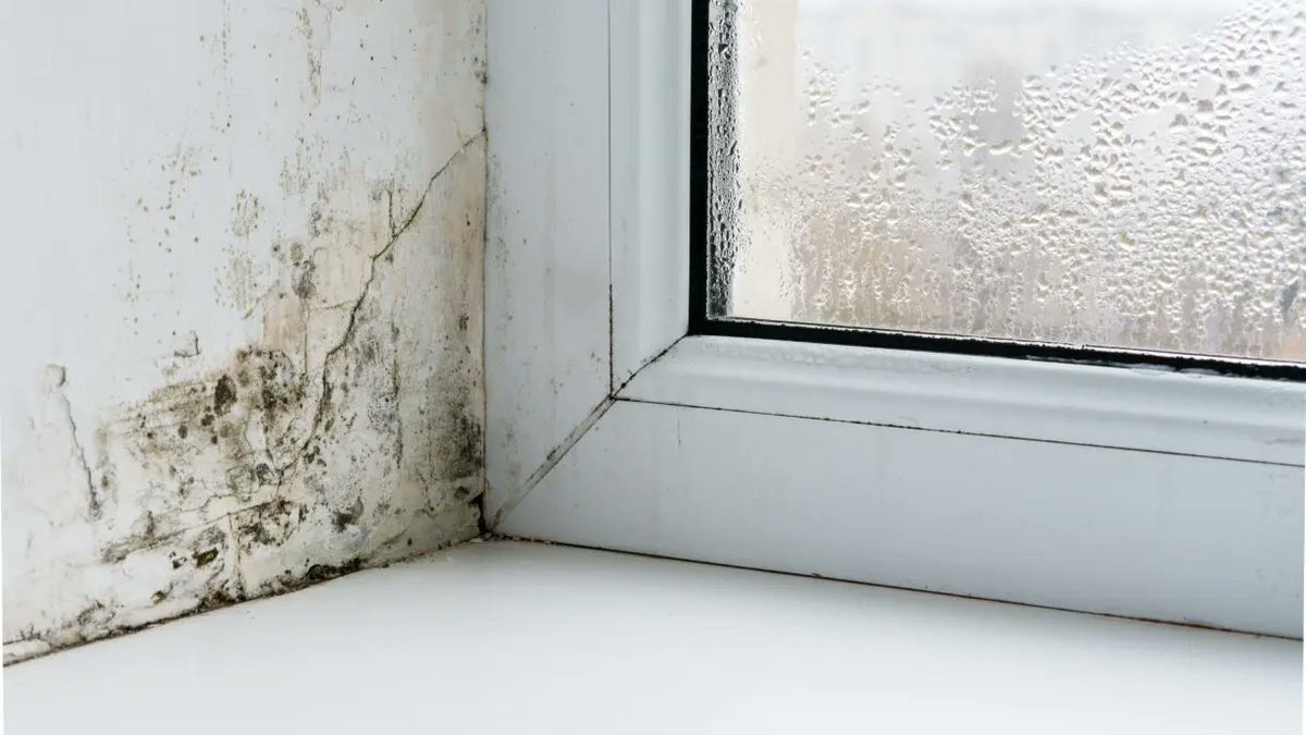 DampSolutions1's tweet image. Closing windows &amp;amp; drying clothes inside causes #condensation #damp problems
If this is unavoidable, we have solutions.
#Familybusiness trusted for over 50 years, we are proud to say most of our work comes from recommendations
#experts in damp proofing since 1969
@PropertyCareAss