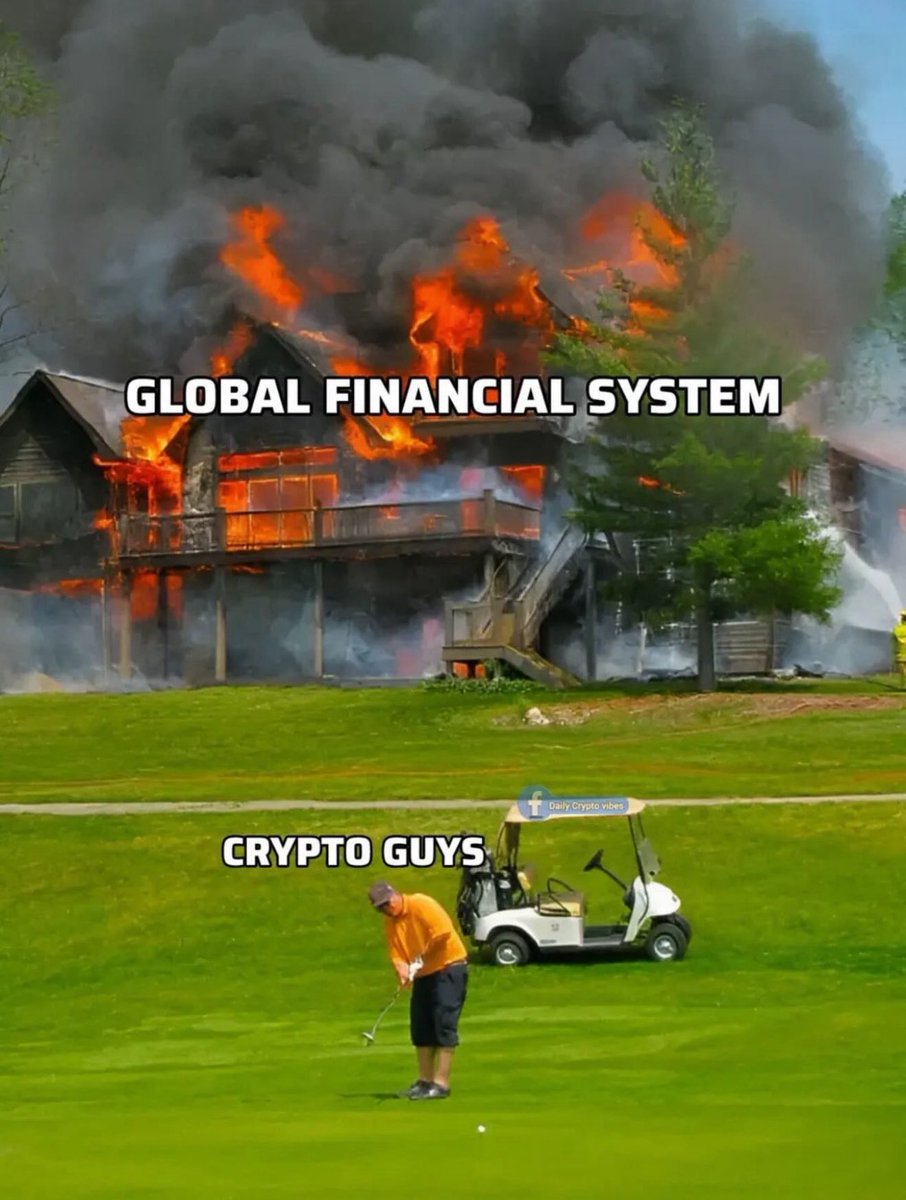 NicolOnchain's tweet image. 