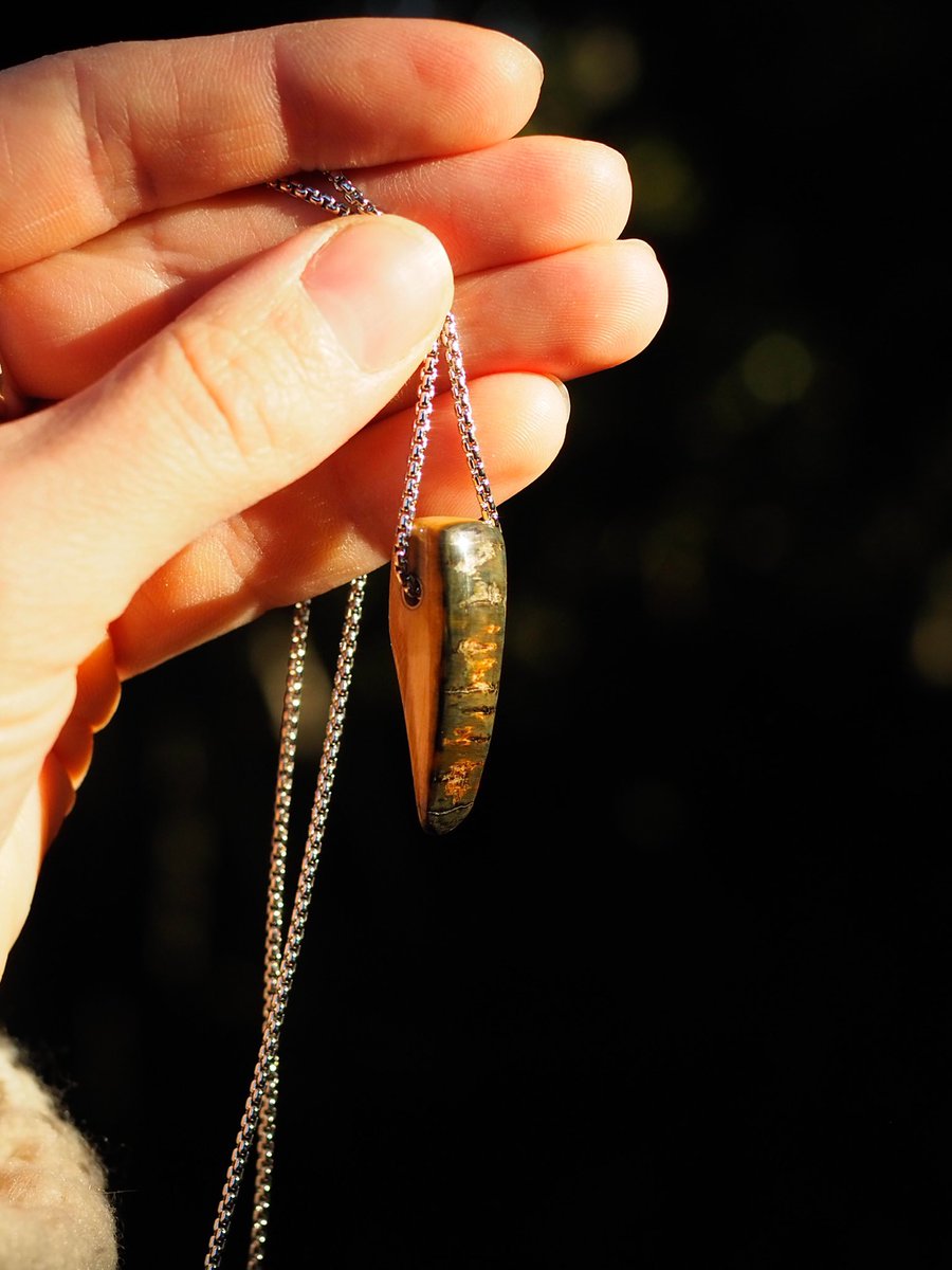 IlauraLongley's tweet image. Fossil Friday! Hope everyone has a Woolly awesome Halloween! 🎃🦣

#fossil #halloween #jewelry