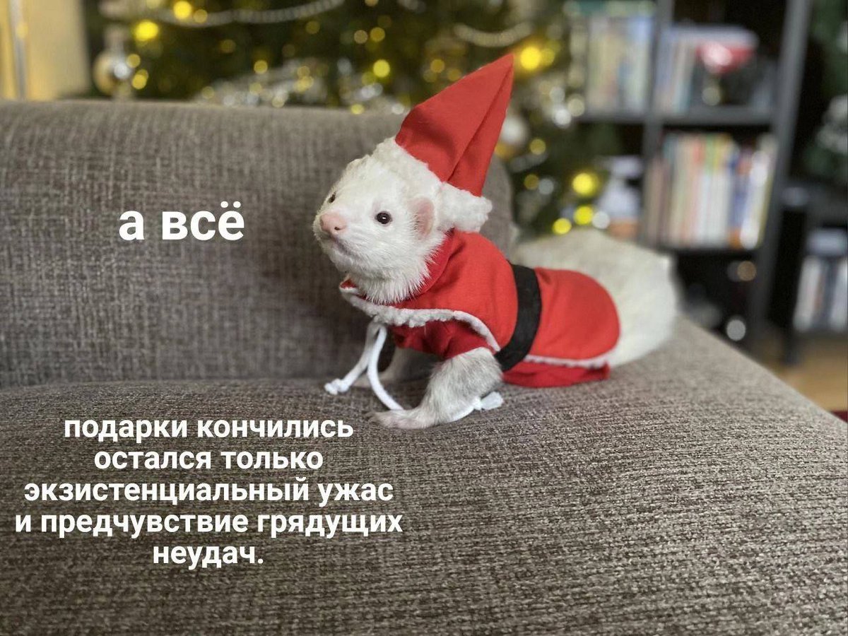 Dr. 8 pine⋈plles 🍀🇮🇹 (@euphemi_a) on Twitter photo 