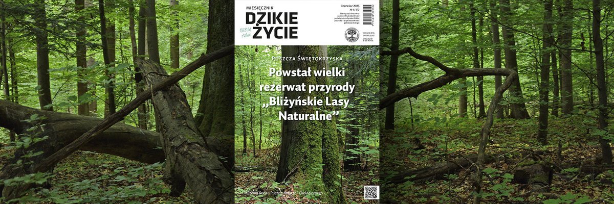 Dzikie Życie tweet media