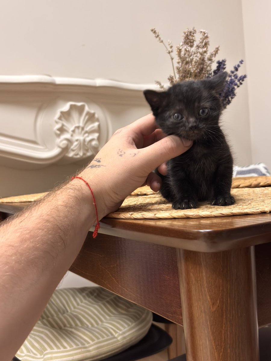 Потихоньку доделываю ремонт в квартире. Обновил стол 
Ножки массив, остальное фанера и шпон. 
13000 вб 
Вообще копейки