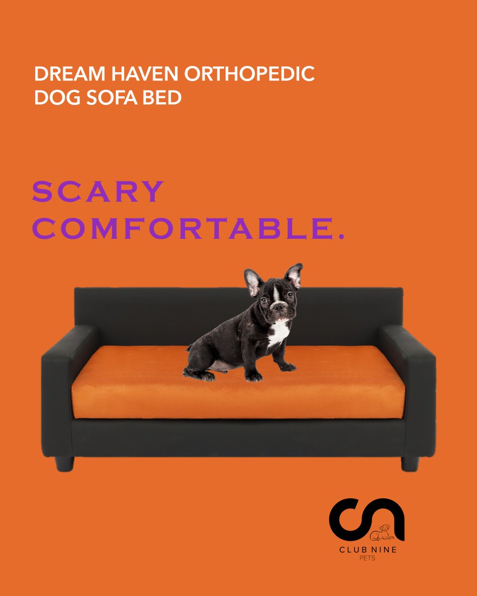 ClubNinePets's tweet photo. Celebrate Halloween in style with Club Nine Pets! 🐾 Our luxury orthopedic dog sofa beds provide unmatched comfort and support, perfect for keeping your furry friends cozy this spooky season. #HalloweenPets #OrthopedicComfort #DogLovers #Halloween #HappyHalloween https://t.co/cf08nnrfcM