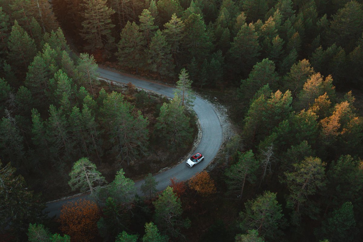 Experience Tara – a mountain that unites tranquility, strength, and inspiration.
On Tara, nature speaks its own language – through the scent of pine trees, the murmur of the Drina River, the turquoise glow of the lakes, and endless horizons.
📷 hiishiiphoto