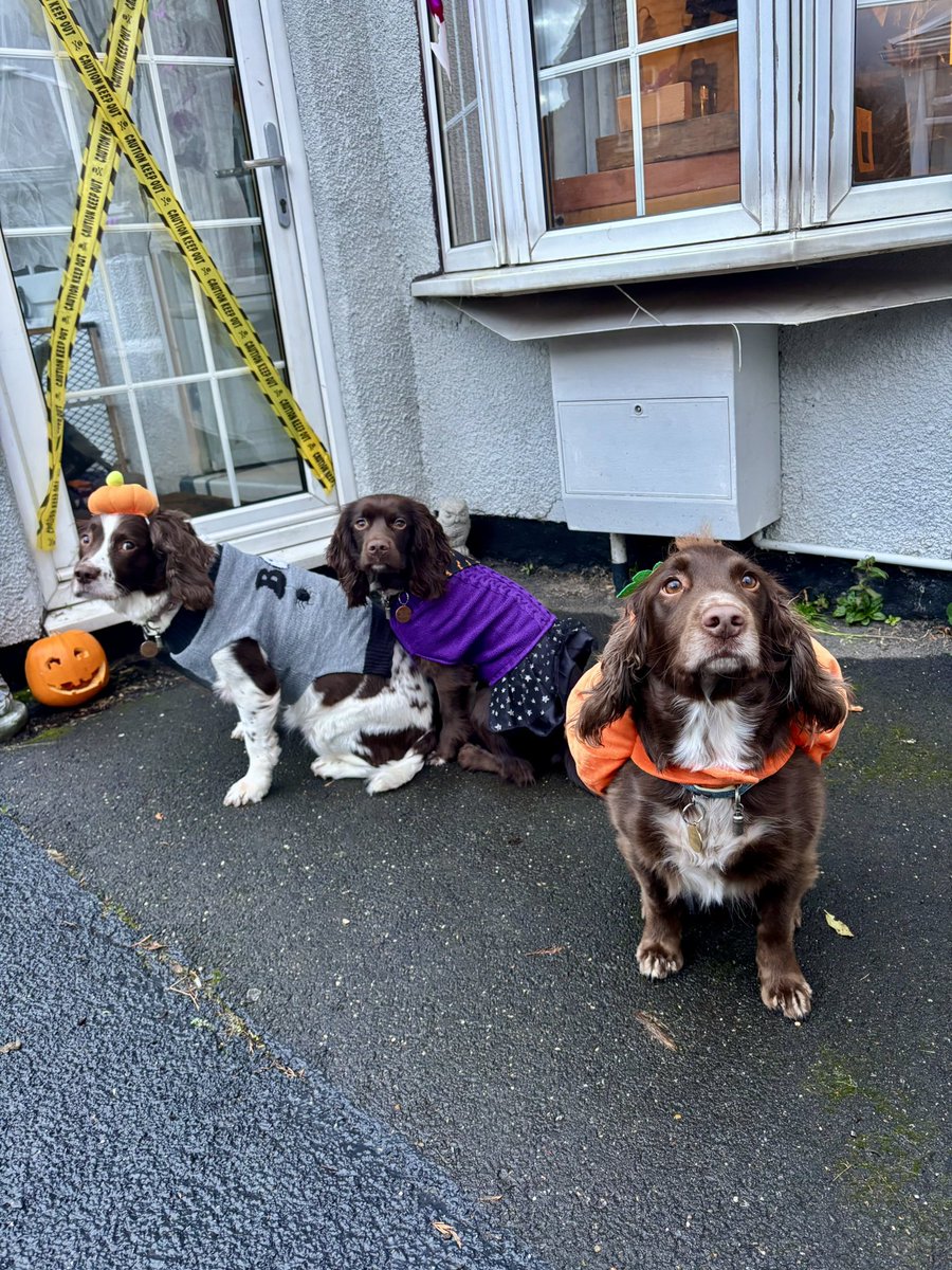 Emily 🎄 tweet media