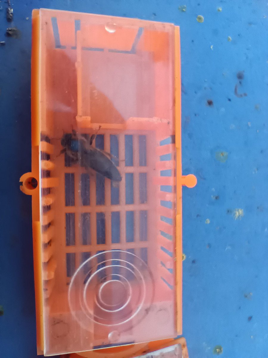 Včelař tweet media