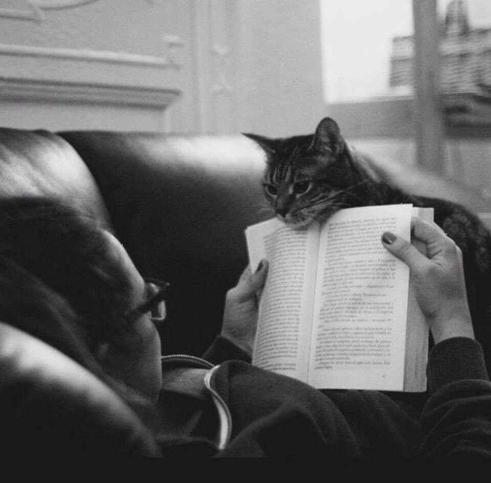 Когда с тобой два лучших друга!