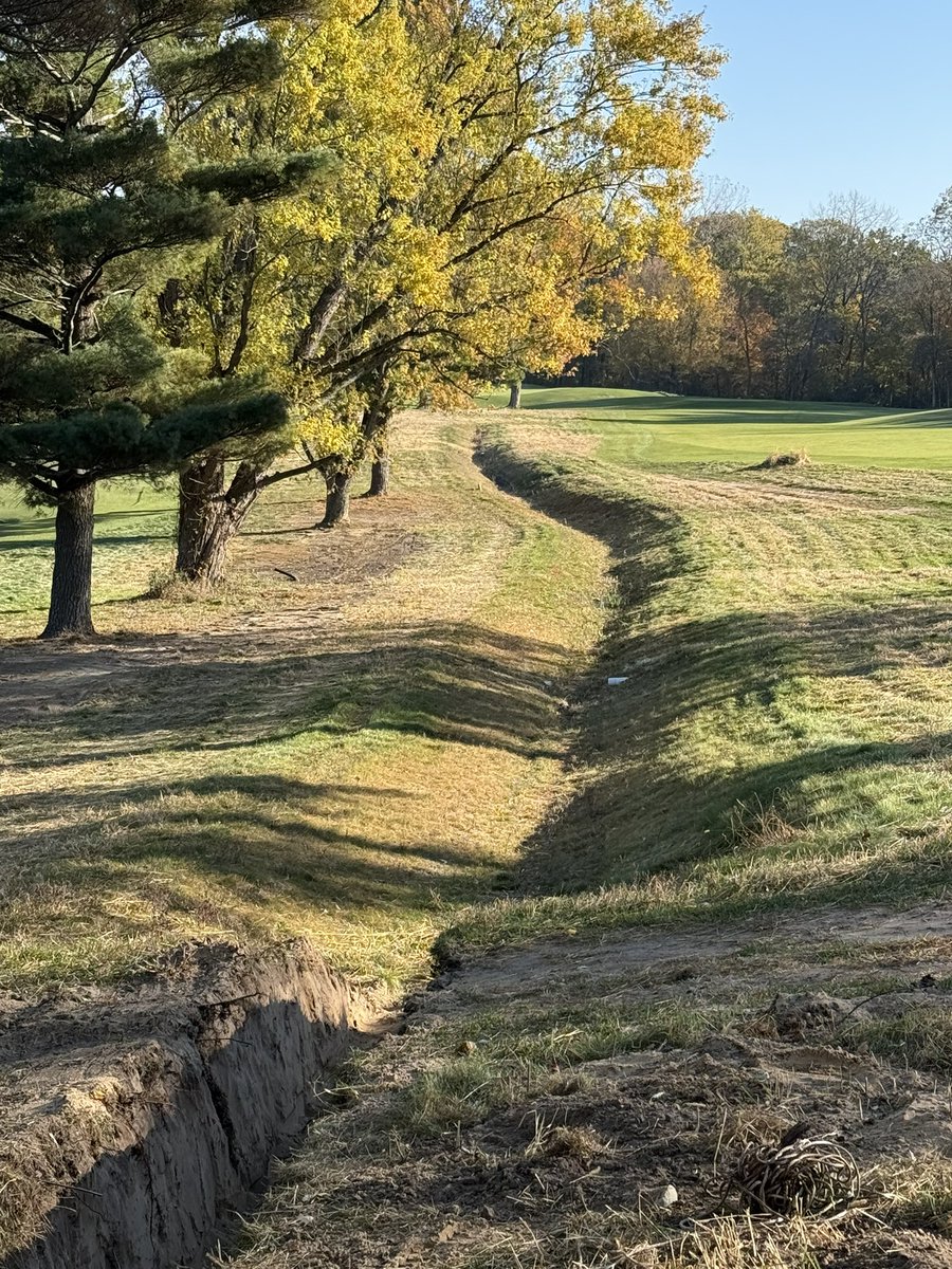 Michael Vessely tweet media