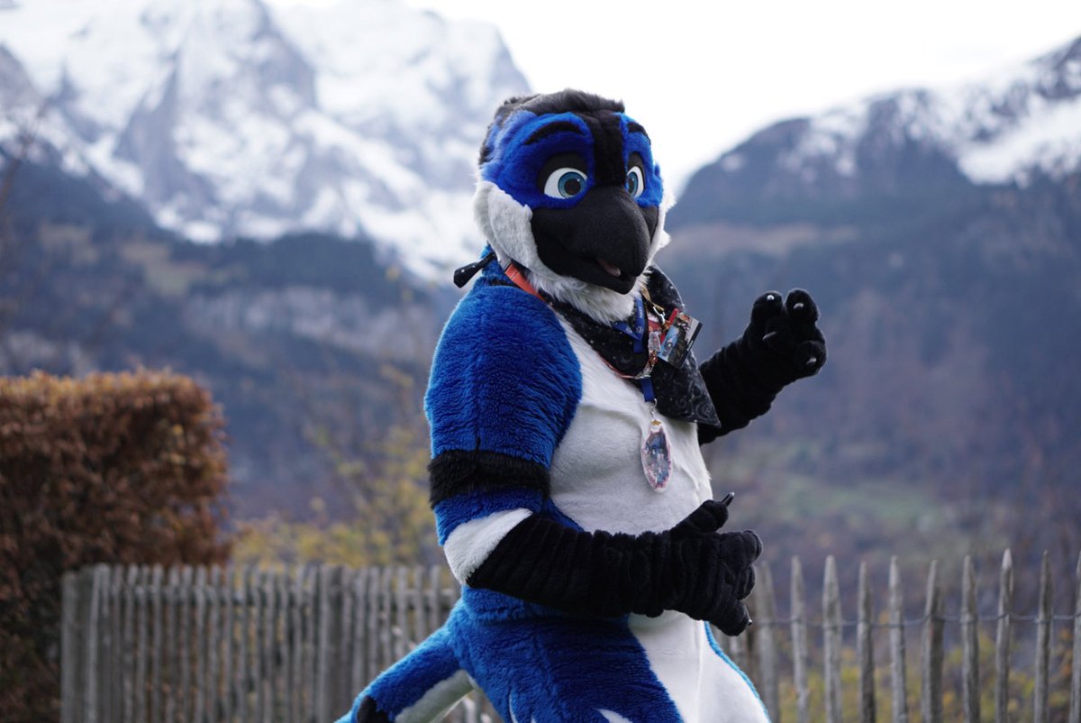 Silly bird got spooked?!
#FursuitFriday