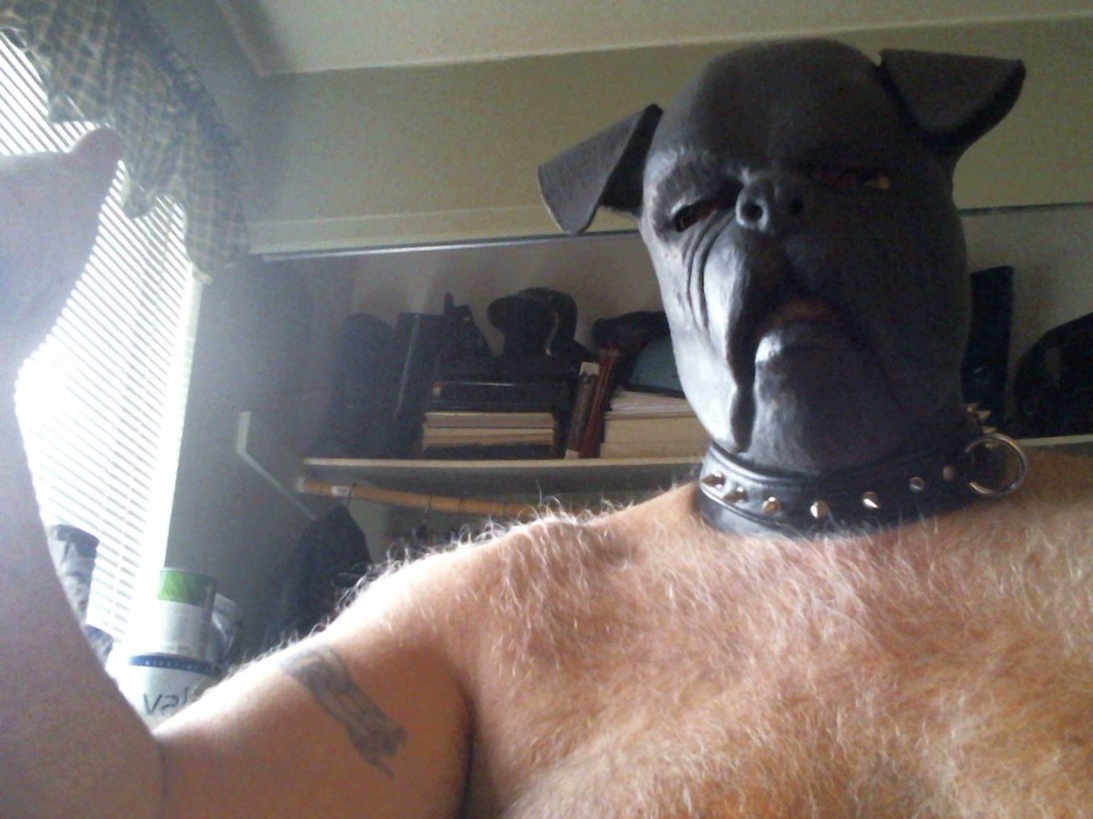 HAPPY  HALLOWEEN  FROM THE DAWG