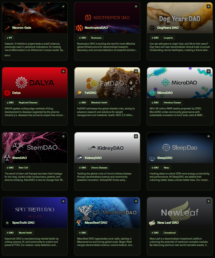 Spectruth (AI + Ibogaine = PTSD Relief) tweet media