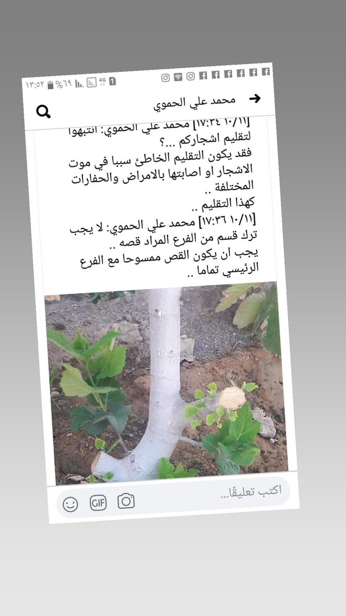 محمد علي الحموي (@ali_hamoui) on Twitter photo 