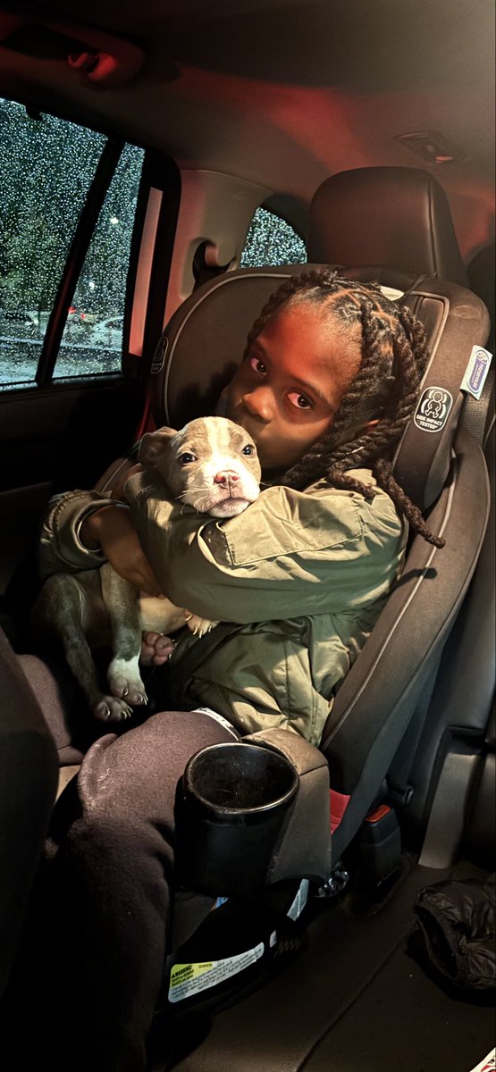 ExplizitOne's tweet image. My little man and his early birthday present, meet “Thor” 🐶🐾