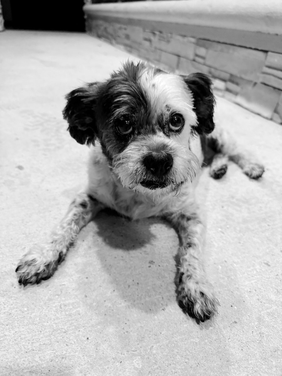 G R ᛃ ⚠️ tweet media