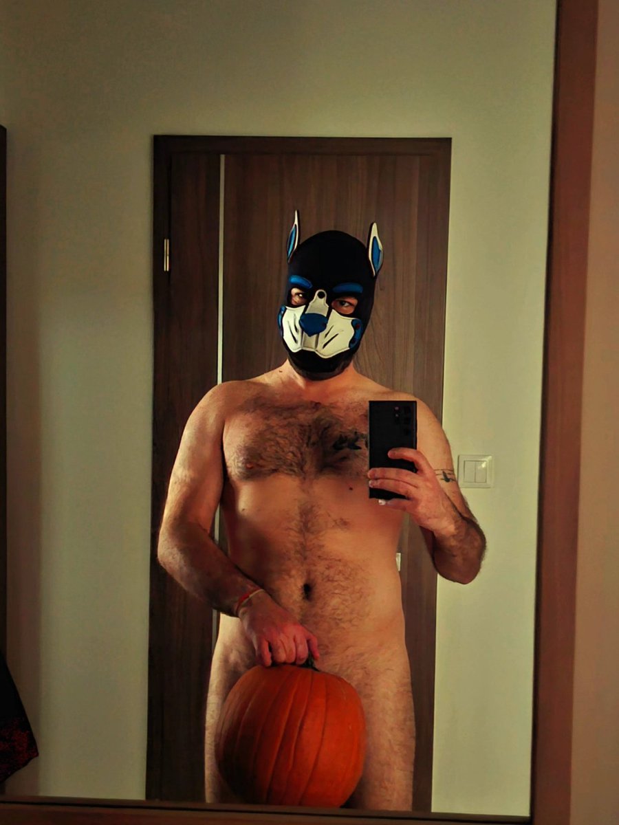 PupCerbie's tweet photo. Humpy Halloween... Let's play thick and treat. 🎃👻🙈 https://t.co/uikzsWI5jq