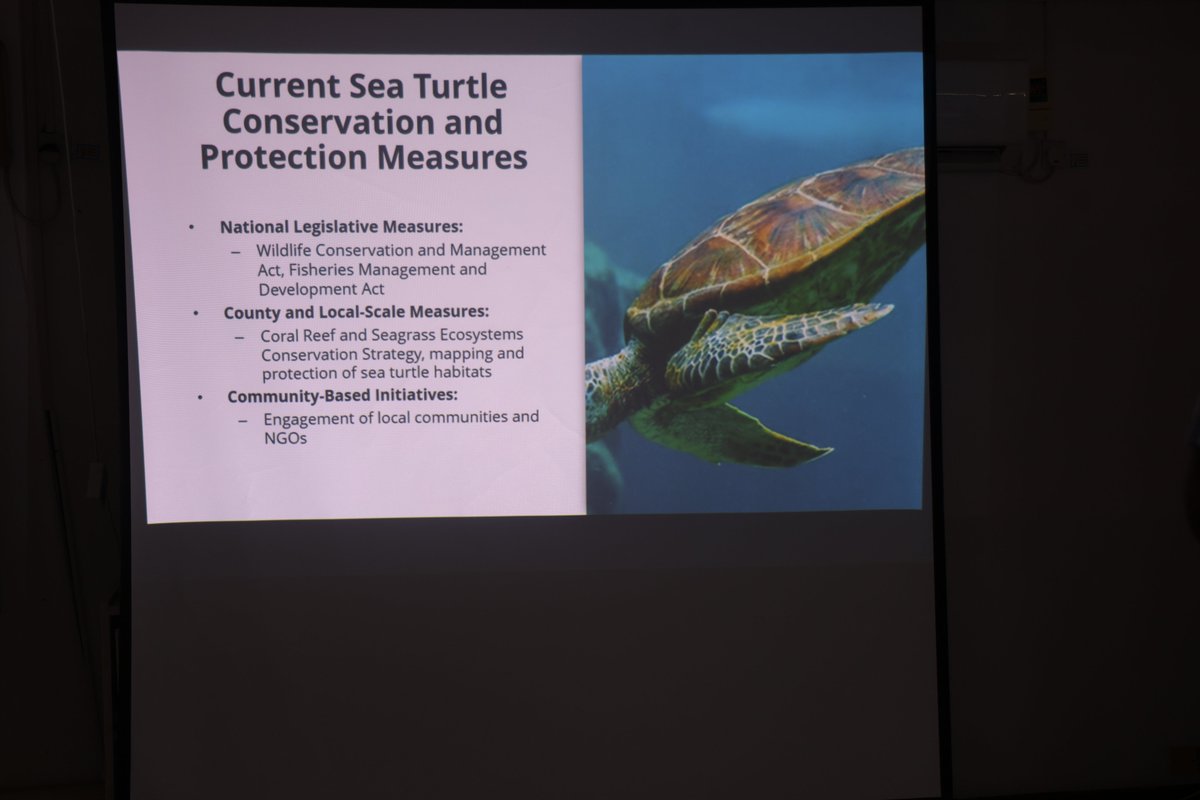 1/3: The National Plan of Action #NPOA for the Conservation and Management of Sea Turtles just validated — will protect the endangered #turtles and their nesting habitats along the coast. A healthy turtle population means a healthier #ocean #Sustainablefisheries