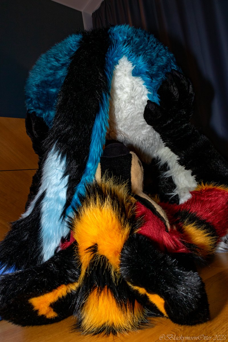 🍑Do you like my booty? Oh I see <a href="/Panchi_Wolf/">Panchi 🔜 FURSTRIKE 🔜 NFC</a> 
already check him🍑  

📷    <a href="/BlackymoonOtter/">Blackymoon 🔜 NFC2026?</a> #FursuitFriday
🪡    <a href="/Fionka_Fursuits/">🐈 Fionka Fursuits 🐈</a> &amp; <a href="/Zuri_Studios/">Zuri Studios</a>