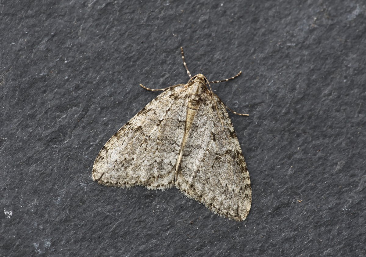 Dave Hutton tweet media