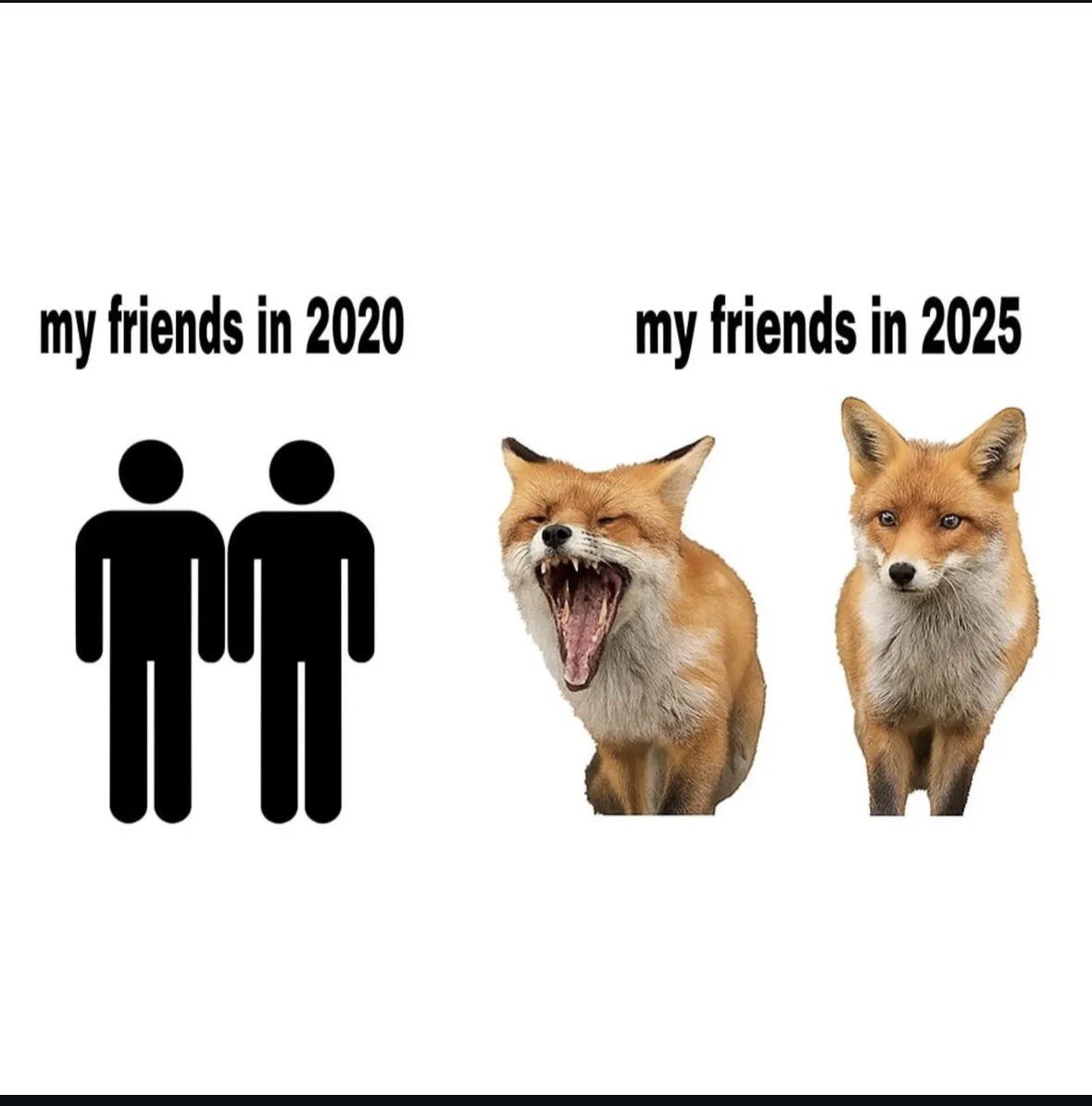 Turn your friends into foxes for this Fox Friday