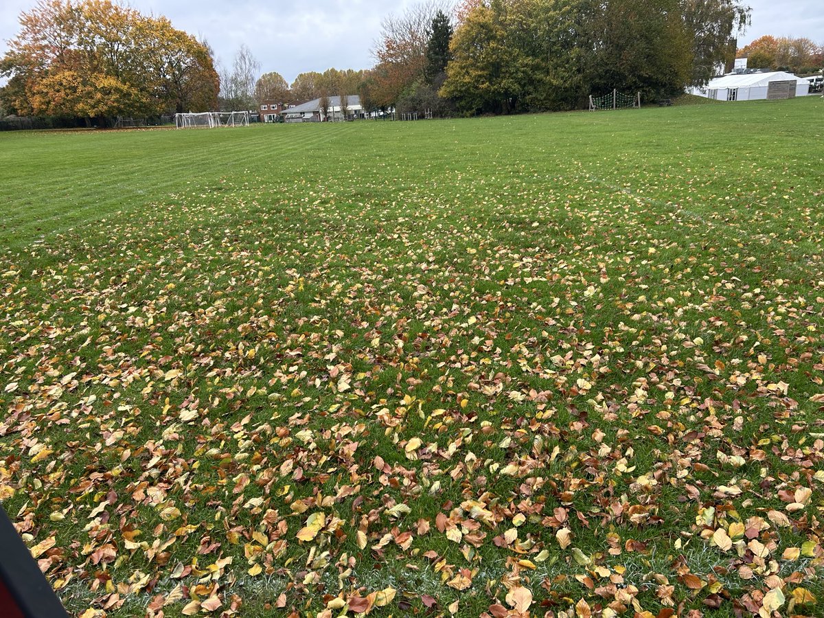 Scott's Pitch Care tweet media