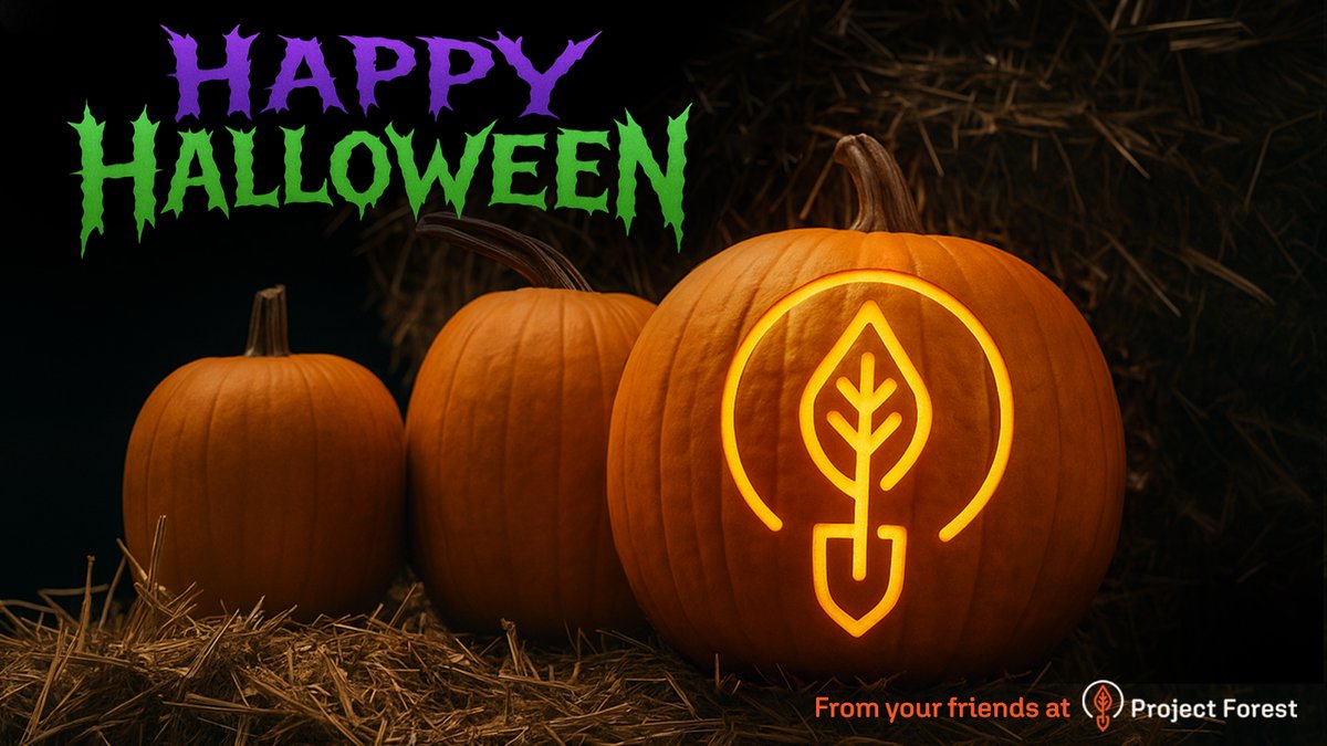 ProjectForest_'s tweet image. We don’t haunt forests - we grow them. 👻🌲

Happy Halloween from the Project Forest team!

Projectforest.ca/contact-us

#HappyHalloween #ProjectForest