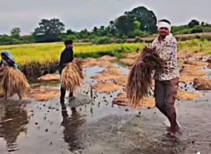 SumeshwarNath's tweet photo. @narendramodi सबका मसीहा है पर किसानों का कौन है।
अब तक कोई घोषणा नहीं,सभी चुनावी दंगल में ब्यस्त हैं।
महिला सशक्तिकरण है मगर किसान सशक्तिकरण कागजों में ही है। https://t.co/mbkXK0wmnr