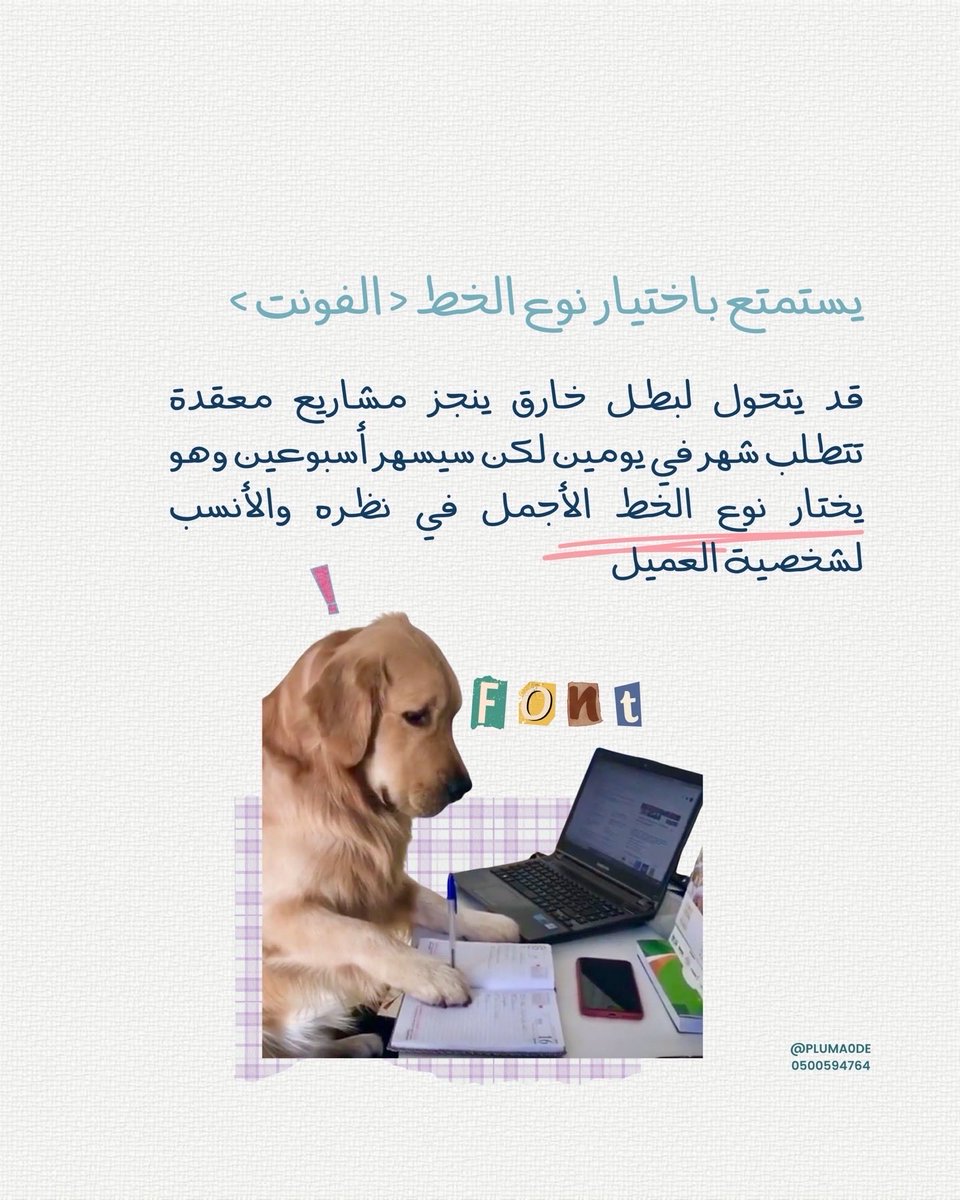 pluma0de's tweet photo. https://t.co/AMfKrjdTxt