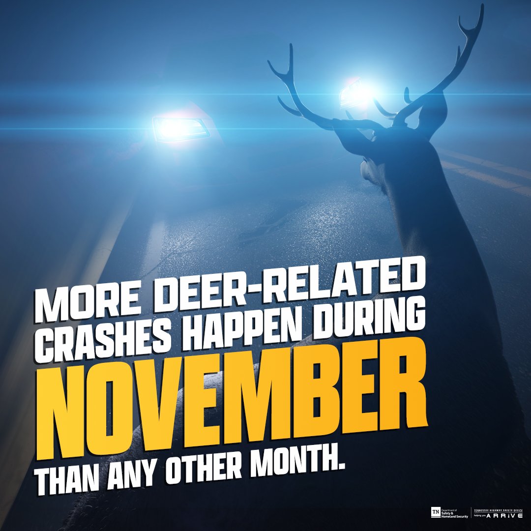 TNHSO's tweet photo. As many drivers know, deer are more active at night, but still unpredictable. Use high beams at night (as long as there is no oncoming traffic) to spot hazards sooner, especially when driving rural roads with limited visibility.

🦌🦌🦌 https://t.co/DSQvYkN9Xu