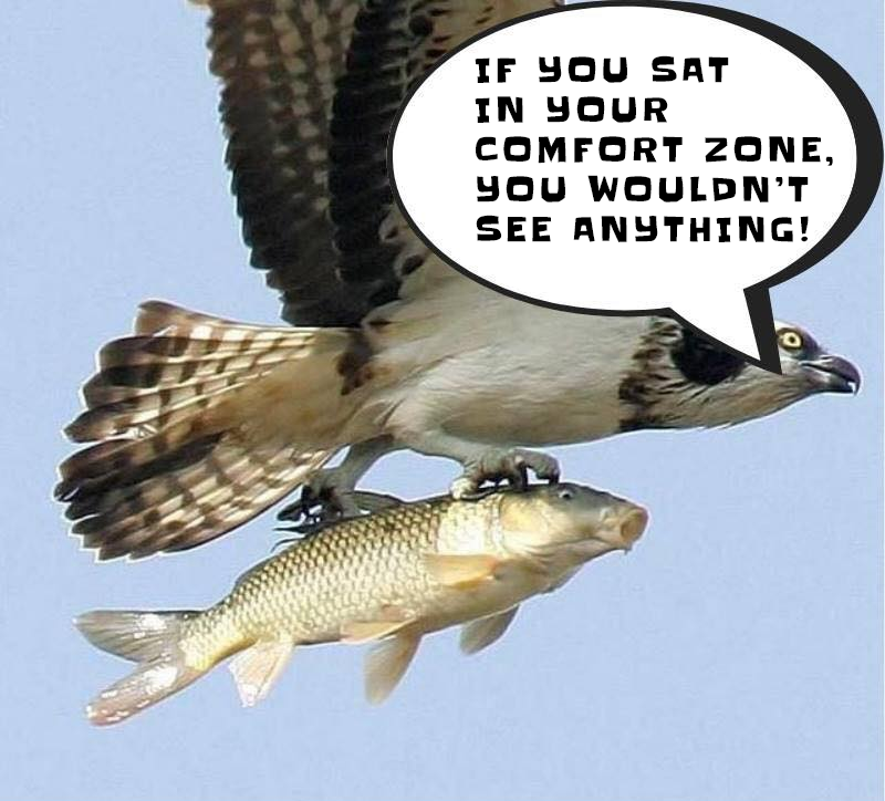 Deity01's tweet photo. Good (almost) evening. Weekend! Except for 🇺🇦 soldiers, awesome reporters, a few other professionals, and the odd 🌎 Leader or two.
Enjoy, cause according to the average vatnik, we'll be nuked last (!) week.
#StopRussia
#TeamTim
#NAFOFellas
#RussianFuelCrisis
#RussianCollapse https://t.co/dQDbXAJTZ9