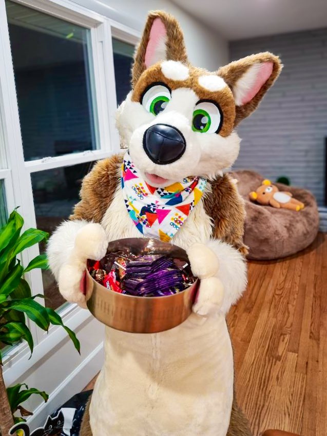 HAPPY HALLOWEEN 🎃 from your pal Sockie! Go ahead, take some Pokémon cards and candy! 🍬 let me know if you will be greeting trick-or-treaters at the door in fursuit tonight :3 🦇🧡