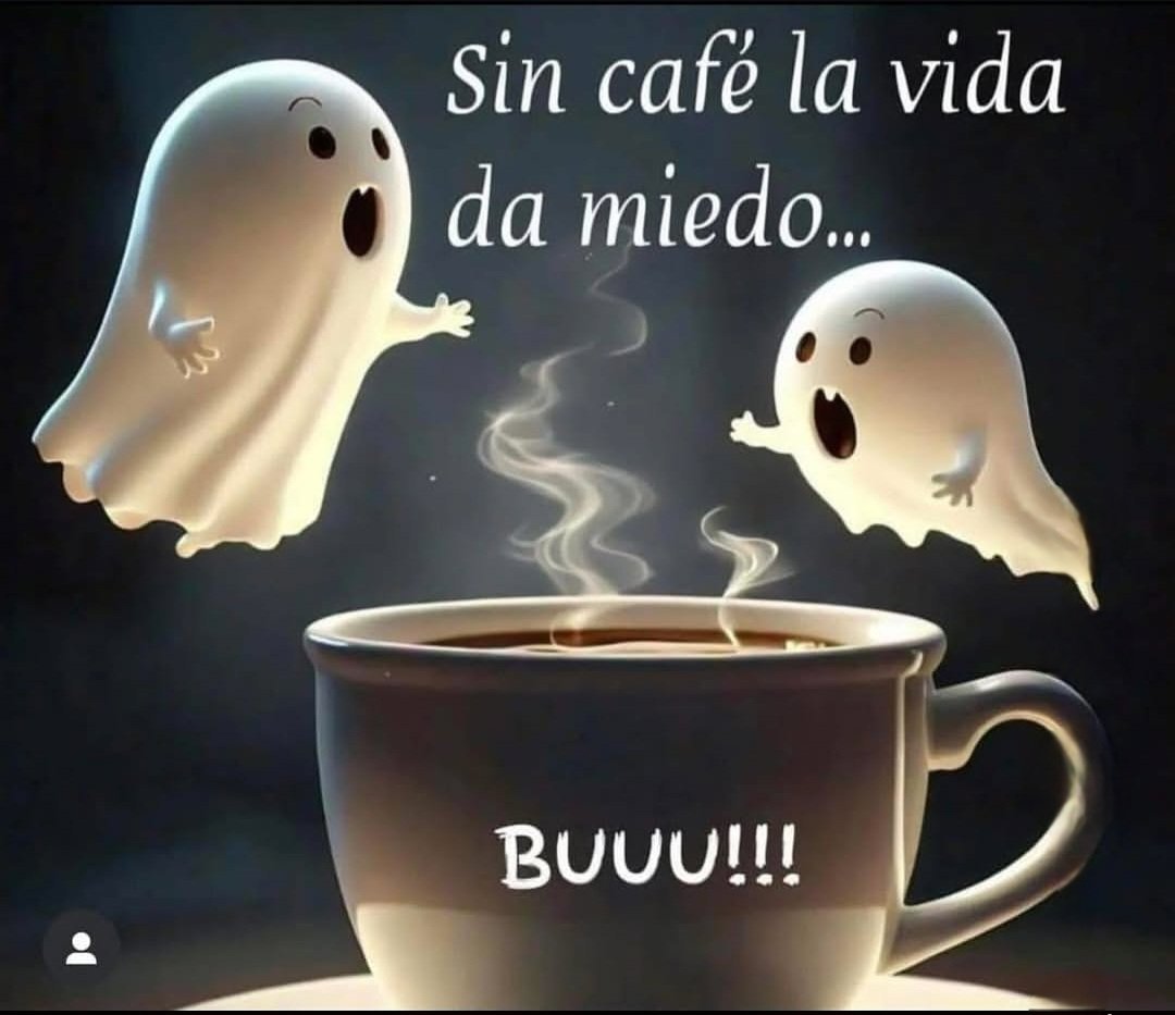 SoloVicky's tweet photo. Buenos días con café en mano! ☕️ https://t.co/joUszbNEMw