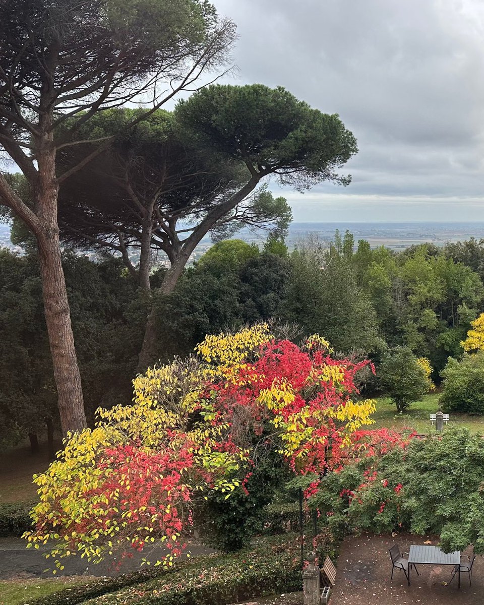 A blessed All Hallows' Eve! As the temperature cools, may warm beverages and family warmth offset the upcoming chill.  

Why do engineers mistake Christmas for Halloween? Because Oct(31) = Dec(25).

#Halloween #Fall #Engineering #Catholictech