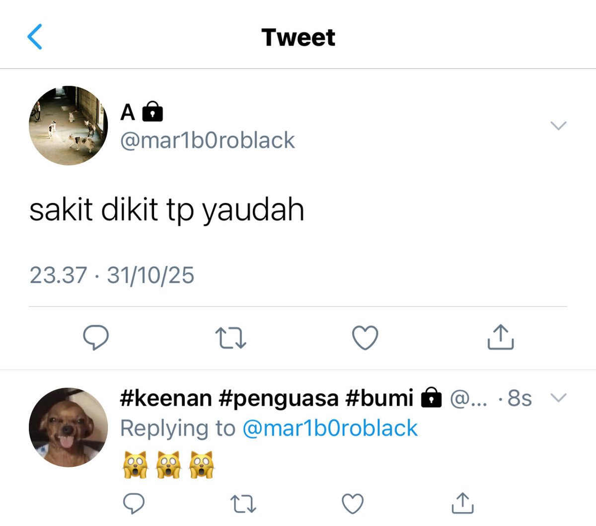 sha, tweet media