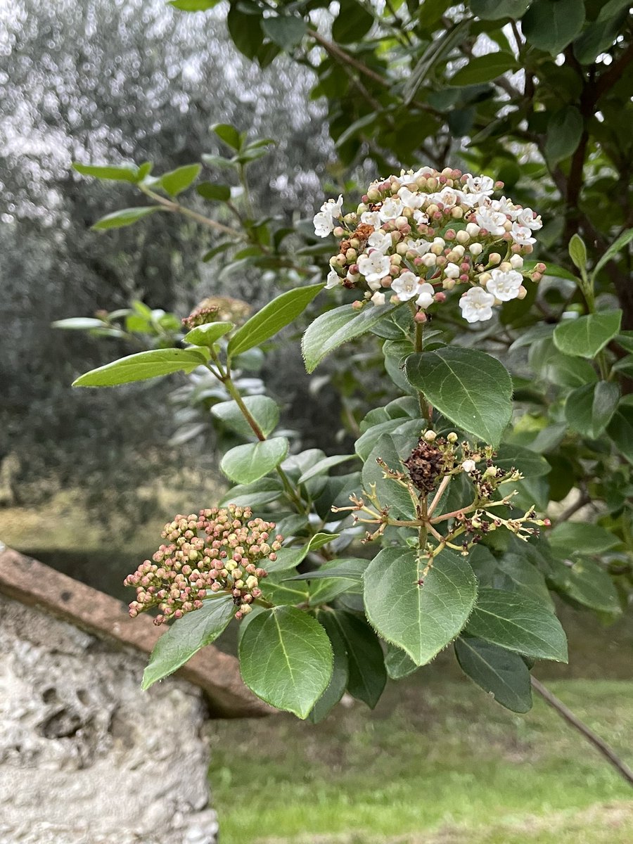 Variegata tavolozza di fine ottobre