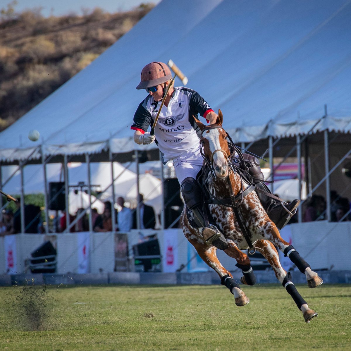 The Bentley Scottsdale Polo Championships tweet media