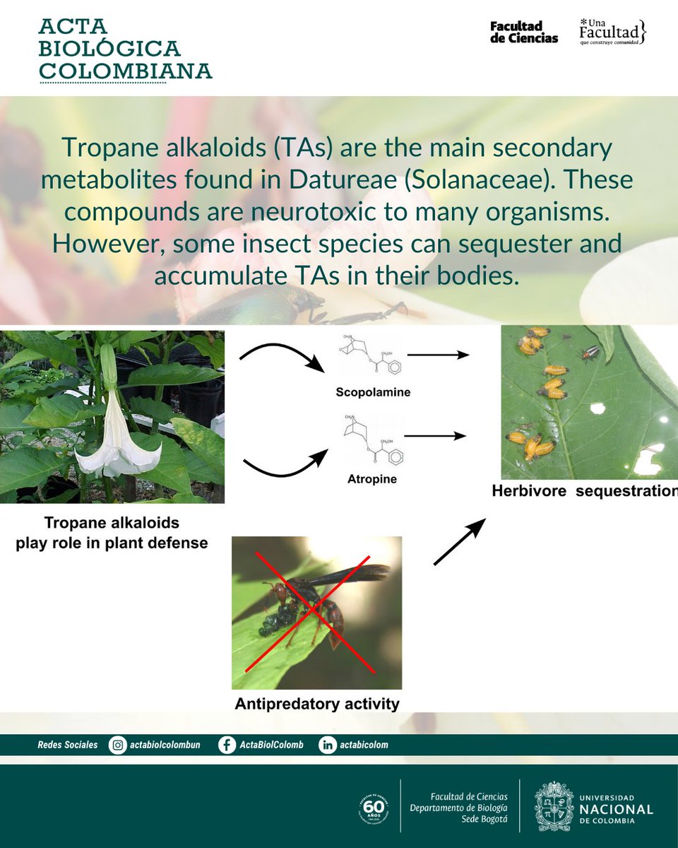 Revista Acta Biológica Colombiana UN tweet media
