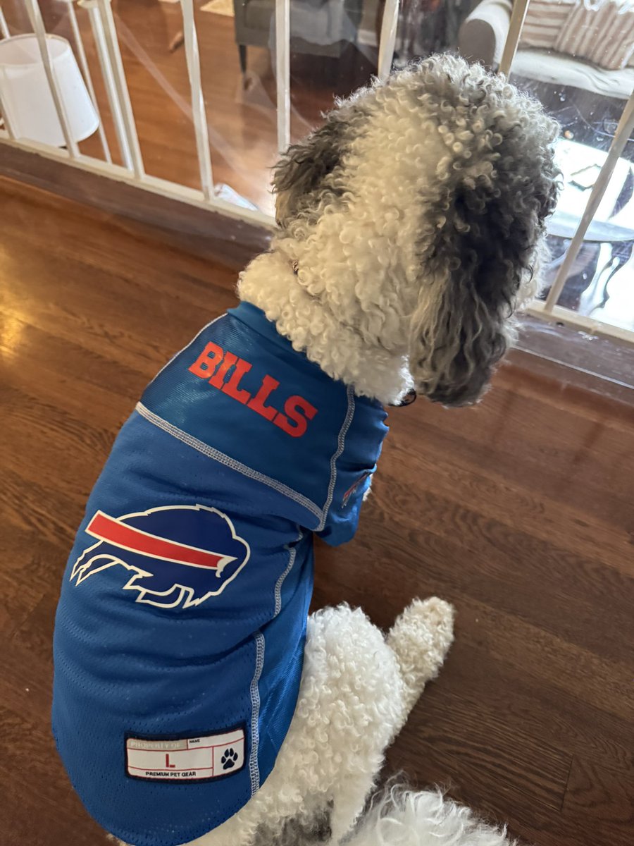 ToolSched's tweet image. Happy Halloween from this little dude. #BillsMafia