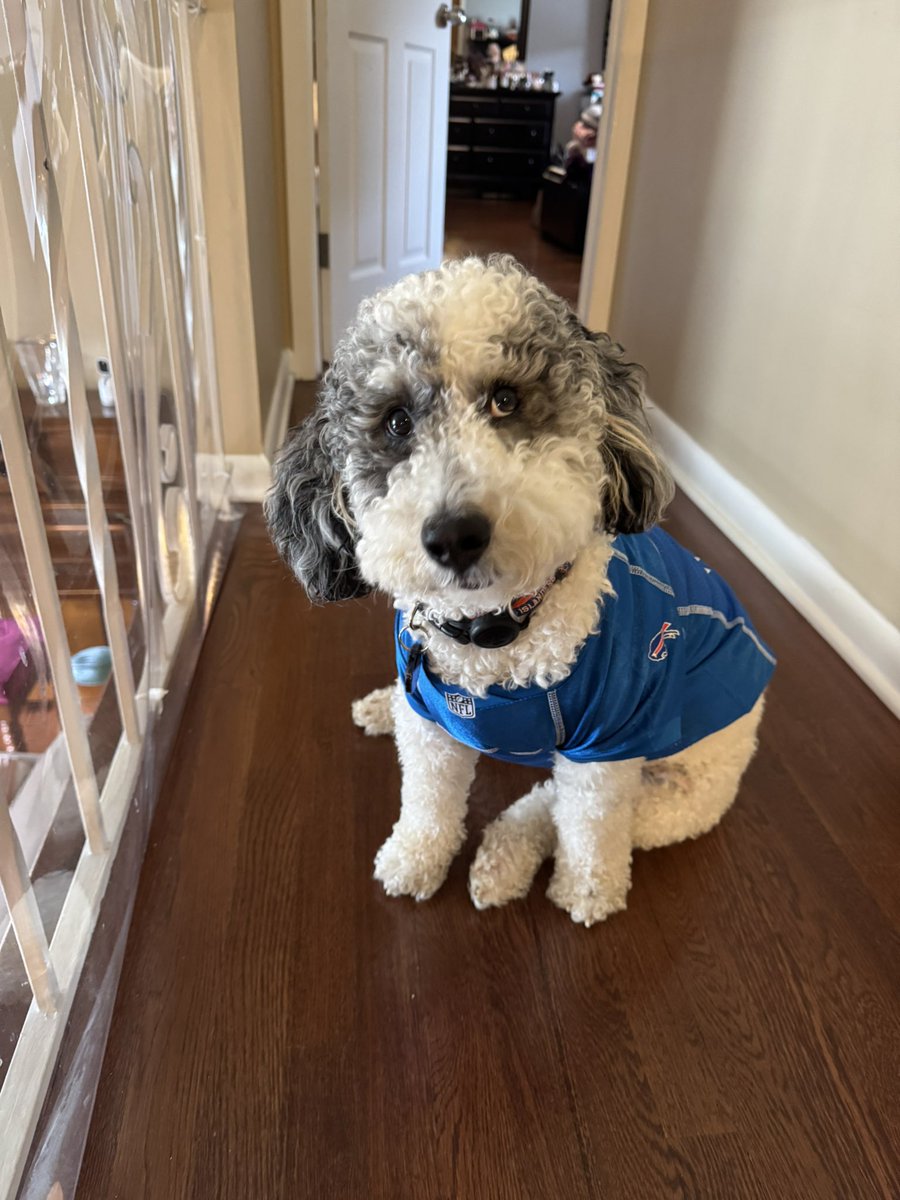 ToolSched's tweet image. Happy Halloween from this little dude. #BillsMafia