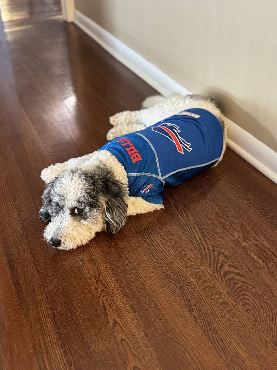 ToolSched's tweet image. Happy Halloween from this little dude. #BillsMafia