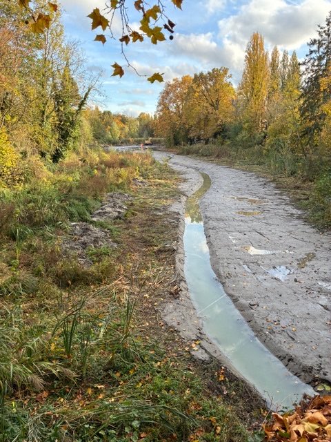 oclodong's tweet photo. Après la déconstruction de la maison abandonnée et l’aménagement d’un espace paysager l’an dernier, la renaturation de l’île Panchout se poursuit. Le Syage procède à des travaux de dégagement et de désenvasement des cours d’eau. #Yerres #Essonne #Syage #nature #rivière https://t.co/VXEasXytSS